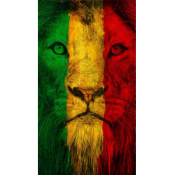Cara de Leon Rastafari